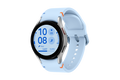 SAMSUNG SMR861NZSAMEA GALAXY WATCH FE SILVER
