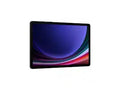 SAMSUNG SMX816BZAAMEA GALAXY TAB S9+ 5G 5G GRAY  256GB