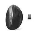 Dicota- D31981 Wireless Ergonomic Mouse RELAX